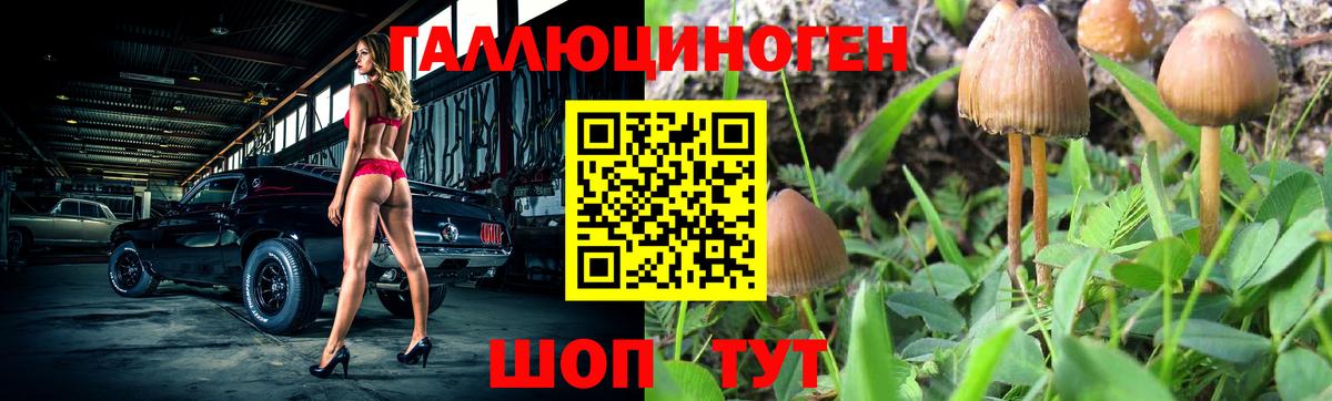 Галлюциногенные грибы GOLDEN TEACHER Мценск